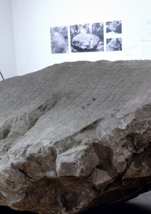 maiacultura_facebook_cover_03_museu