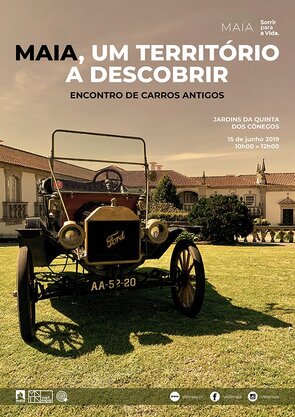 cartz_web_cars_antigs