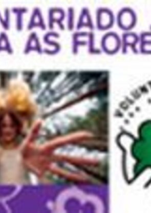 resumovoluntaridoflorestasweb