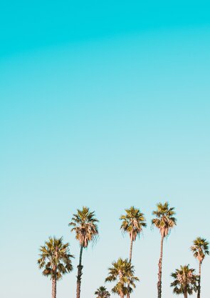 corey-agopian-306180-unsplash