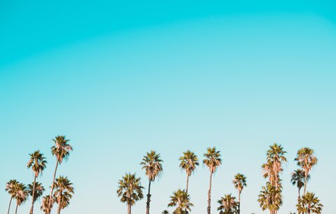 corey-agopian-306180-unsplash