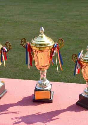 monument-statue-athletic-toy-sculpture-place-1355163-pxhere