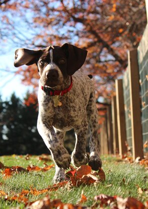 tim-golder-312316-unsplash