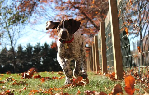 tim-golder-312316-unsplash