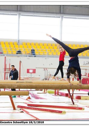 29340433_1745094995552268_8722241196992233472_n