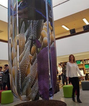 IMG_20180514_190139_540