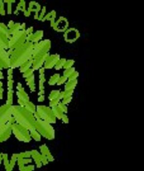 programa_voluntariado_jovem_para_a_natureza_e_florestas_