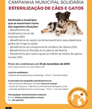 flyercampesteril2019