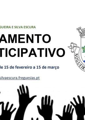 o_p_nogueira_silva_escura