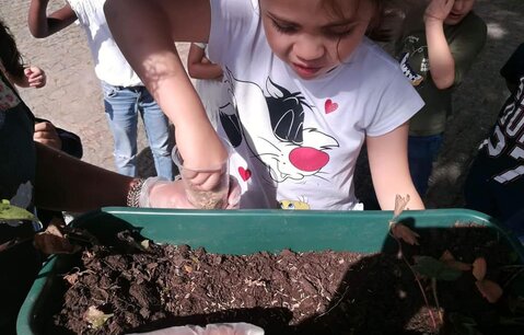 223604717_4204377819651743_5058635677217825836_n