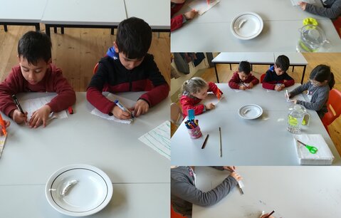 inshot_20220224_163449624