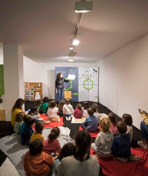 dia_mundial_da_arvore