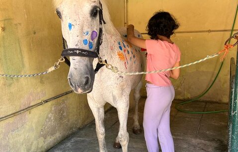 6b1bb621_692c_410e_b79c_afa731e79431