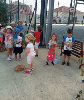 img_20240916_153556