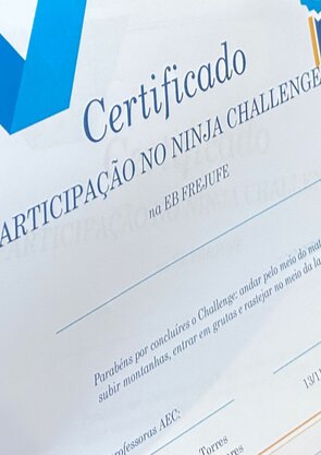 img_20241113_wa0046_ninja