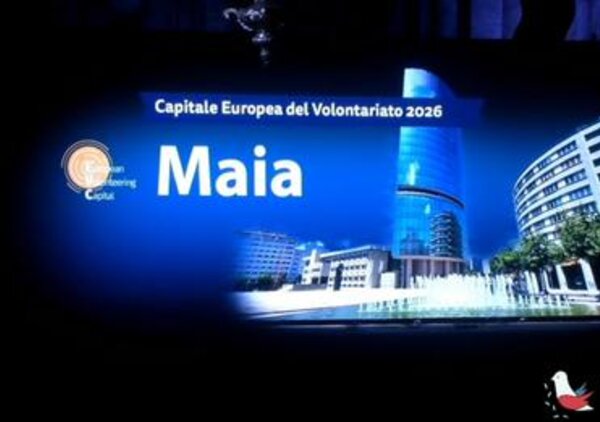 13154780160392394110