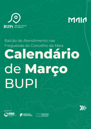 1bupi_