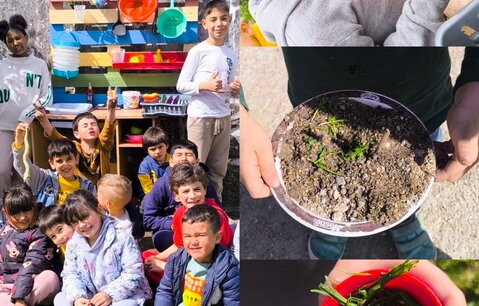 1_capa__pedroucos_a_cozinha