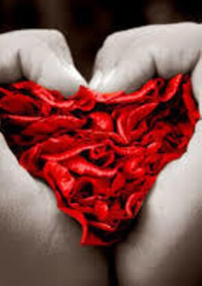 sexualidade_e_afetos