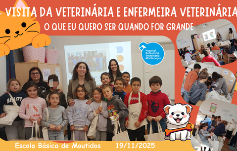 capa_veterinaria
