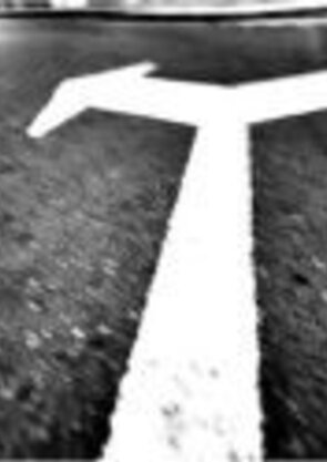 imagem_os_pais_e_o_futuro_dos_filhos_2011