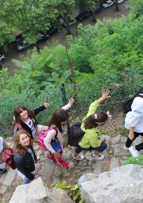 faj_verao18_46_1_1280_720