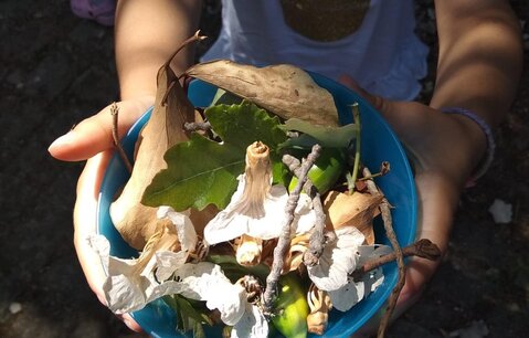 110126435_3832456946771286_2534378062683952568_n