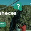 Verão´24 - 'Conheces?' Arouca?