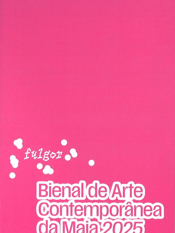 cat&aacute;logo da bienal de arte 2025