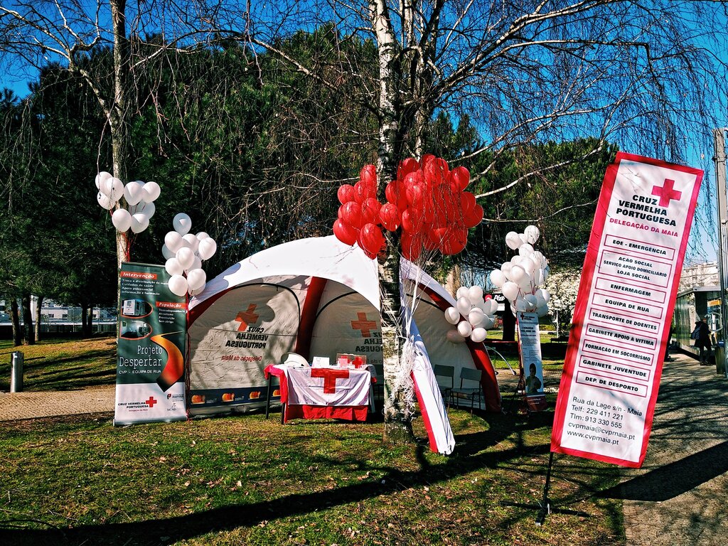 86491056_502974040604045_2018791657419309056_o