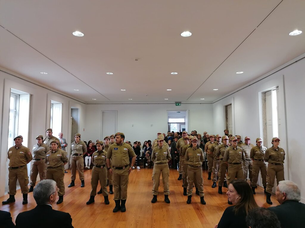 86717446_505931050308344_2340926763103682560_o