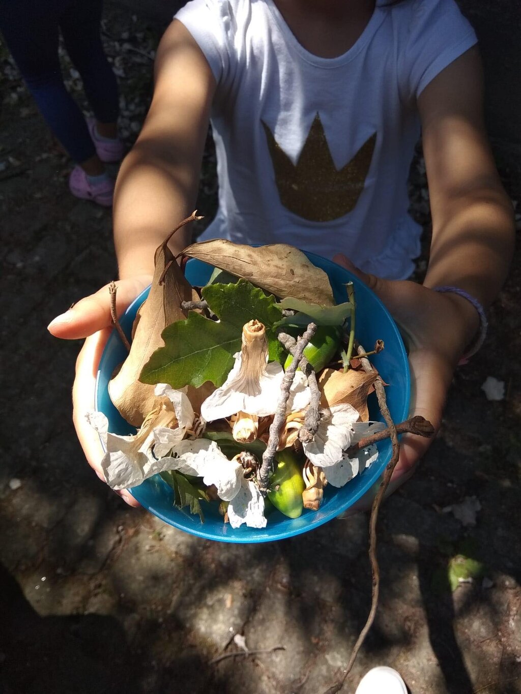 110126435_3832456946771286_2534378062683952568_n