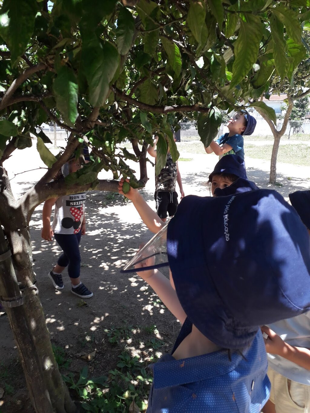 Agrupamento de Escolas de Águas Santas