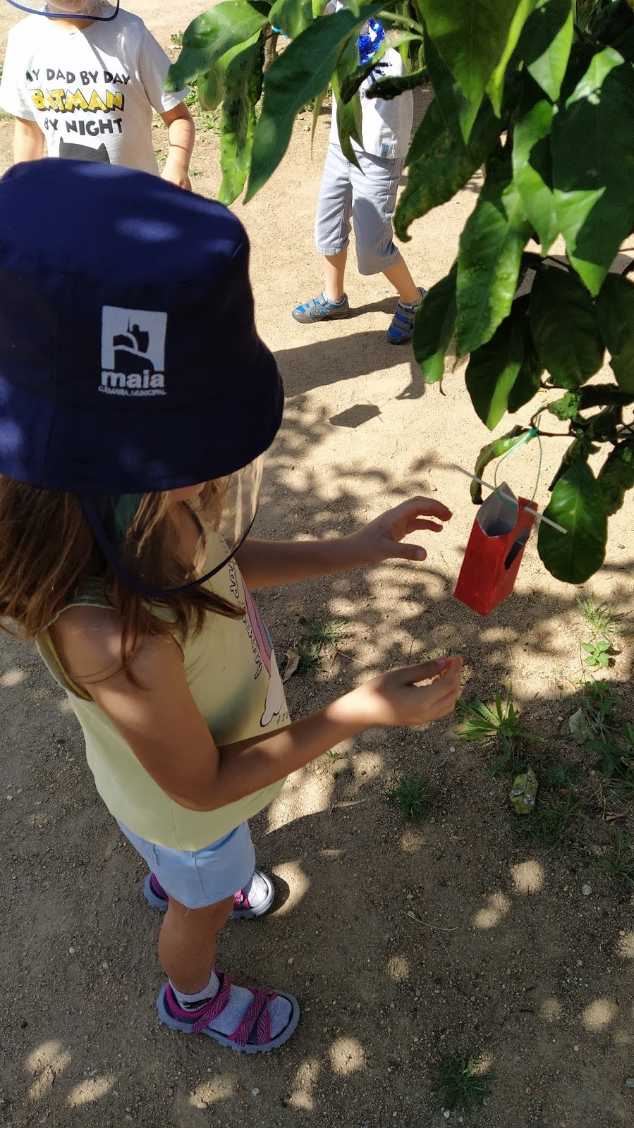 Agrupamento de Escolas de Águas Santas