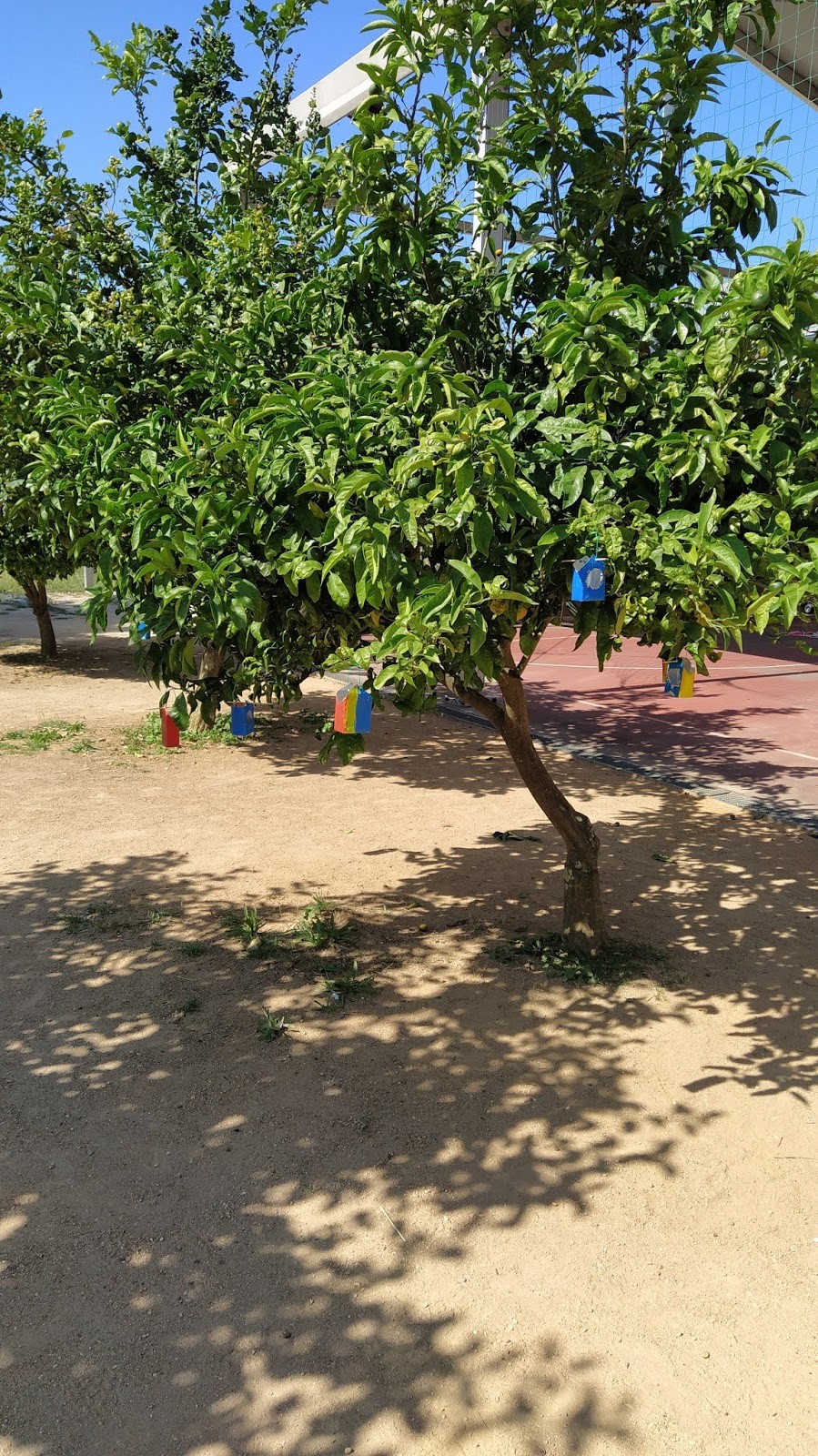Agrupamento de Escolas de Águas Santas