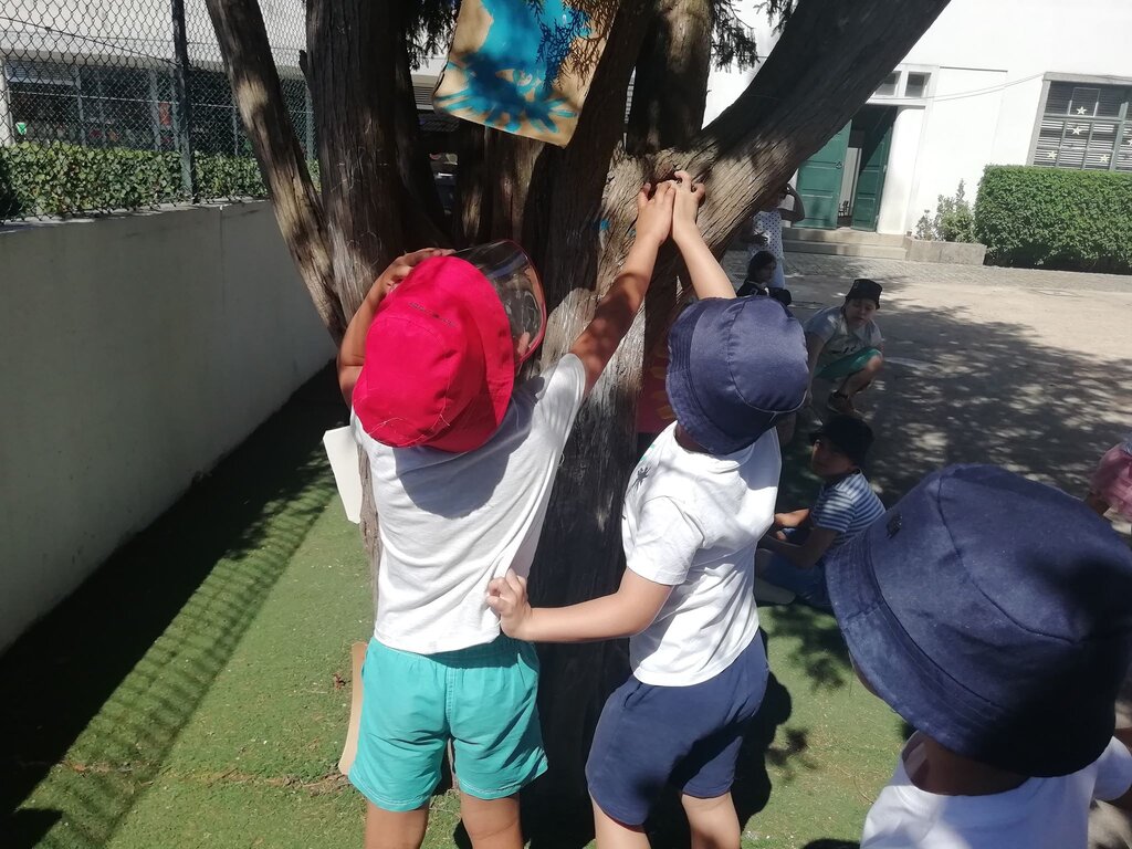 Agrupamento de Escolas do Castelo da Maia