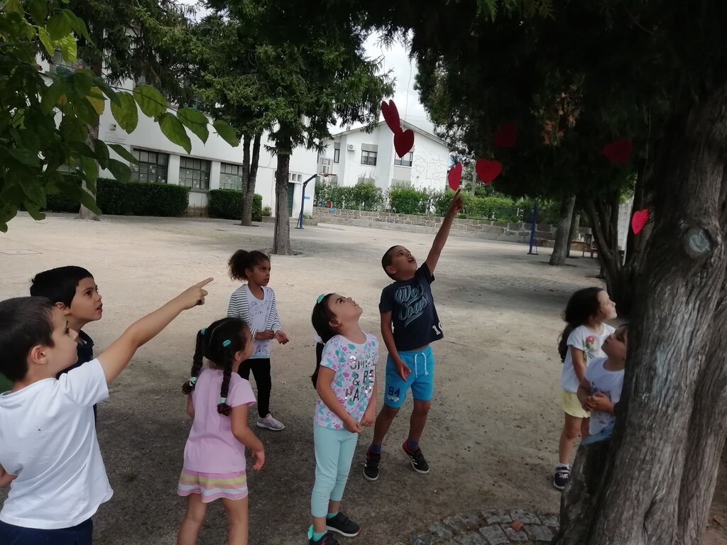 Agrupamento de Escolas do Castelo da Maia