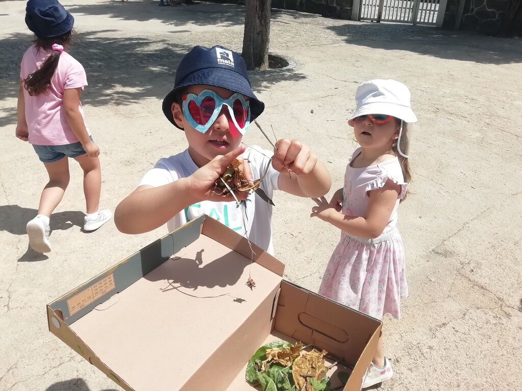 Agrupamento de Escolas do Castelo da Maia