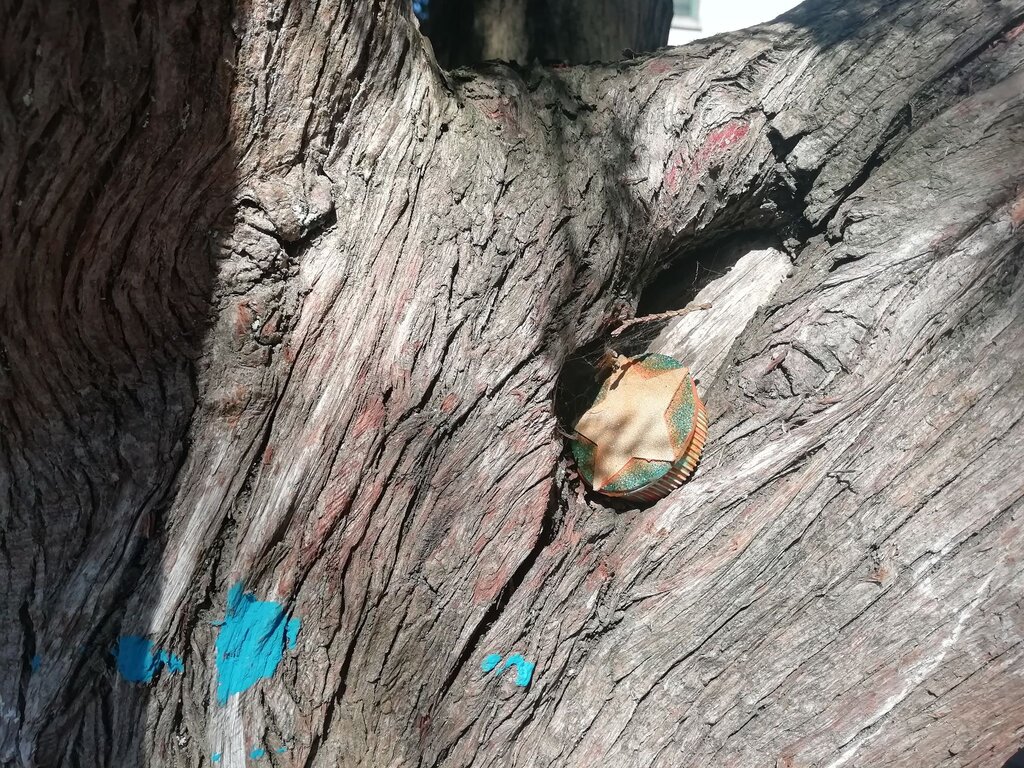 Agrupamento de Escolas do Castelo da Maia