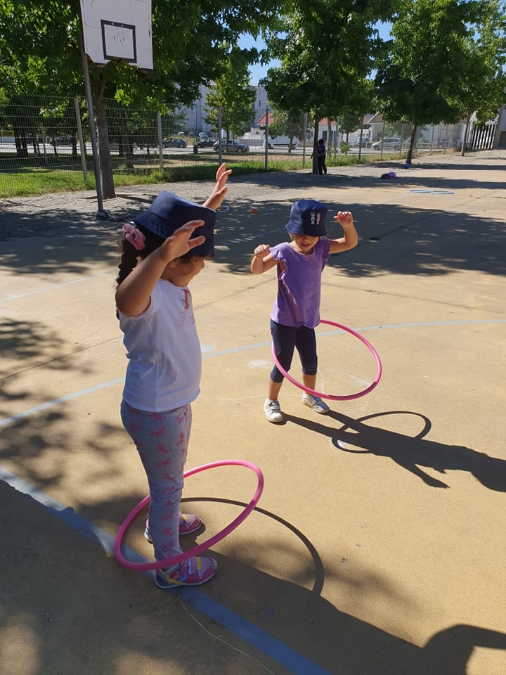 Agrupamento de Escolas de Gonçalo Mendes da Maia