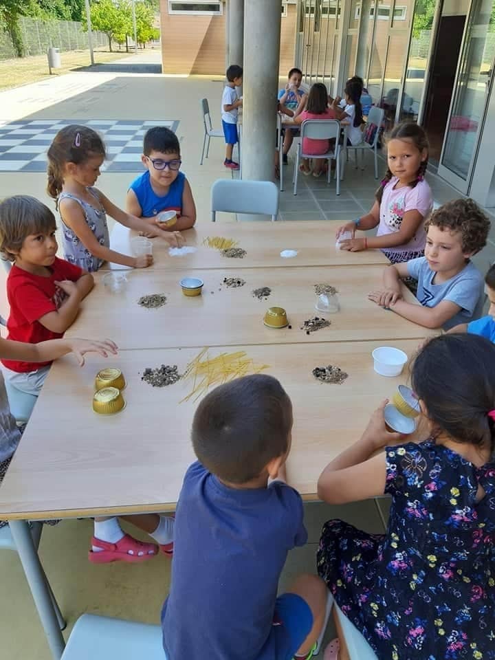 Agrupamento de Escolas da Maia