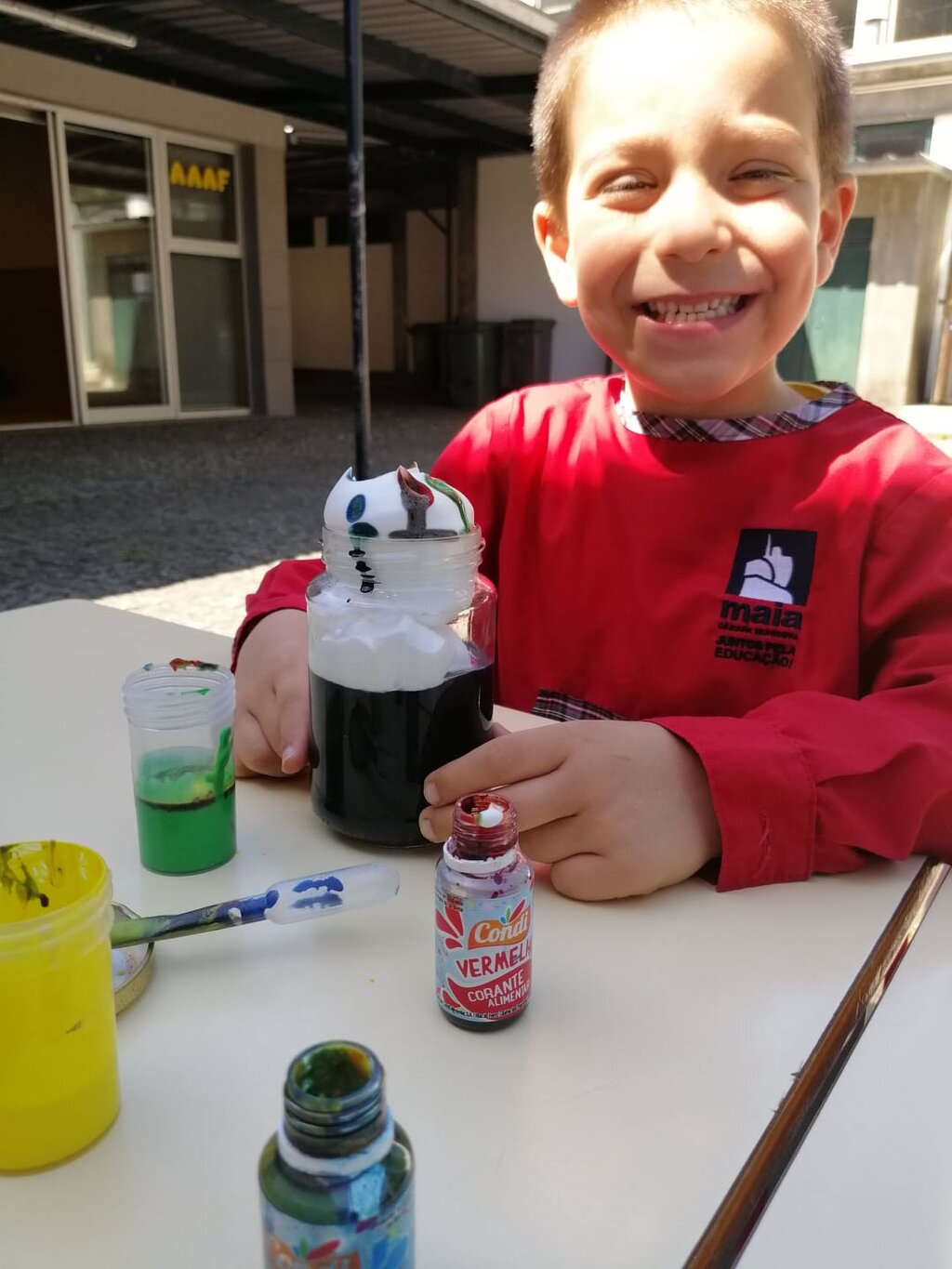 Agrupamento de Escolas de Pedrouços