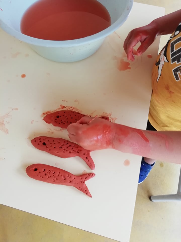 Agrupamento de Escolas de Dr. Vieira de Carvalho