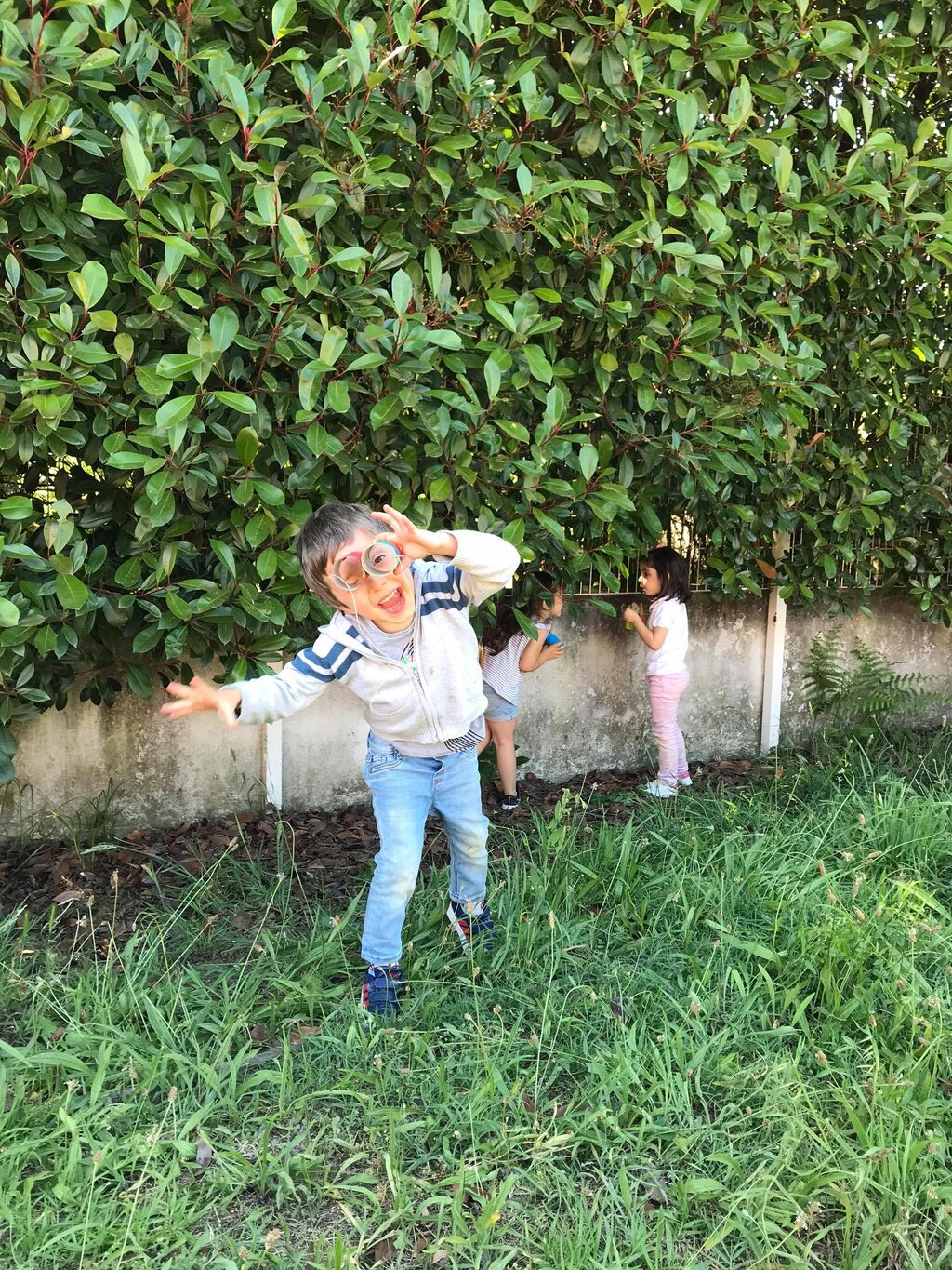 Agrupamento de Escolas de Dr. Vieira de Carvalho