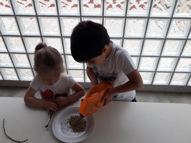 Agrupamento de Escolas de Dr. Vieira de Carvalho