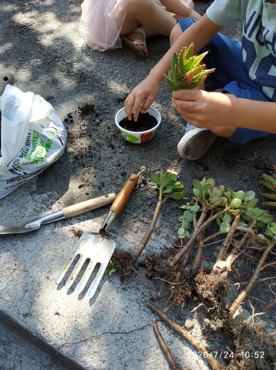 110317088_572957483376343_2752357389703019109_n