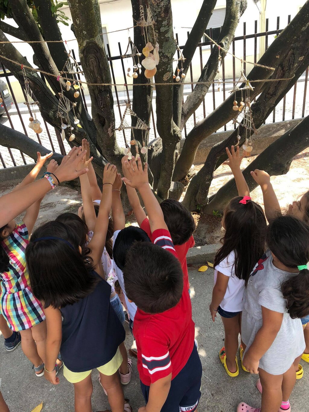 116426738_338773417517347_2487797139418573040_n