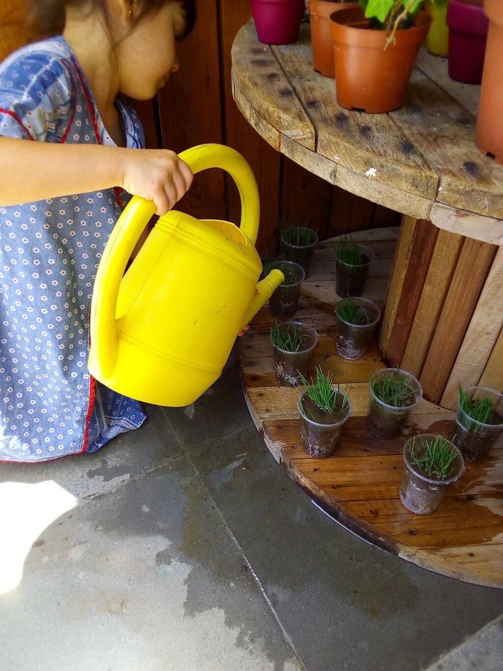 WhatsApp Image 2020-07-27 at 09.07.03