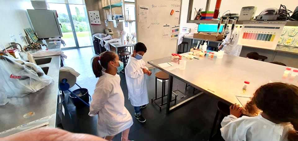 122038600_3428105140612352_6316406172692904282_n