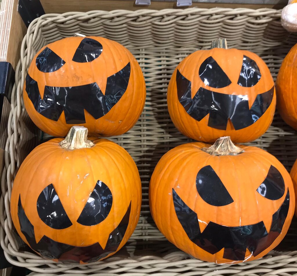 whatsapp_image_2020_10_30_at_10_52_59